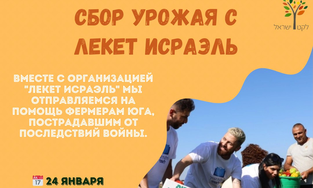 Поездка на ферму