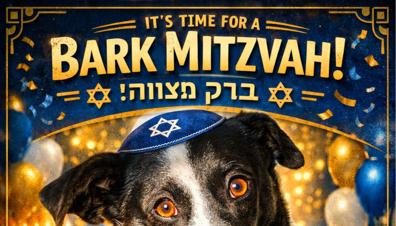 Panda's Bark Mitzvah