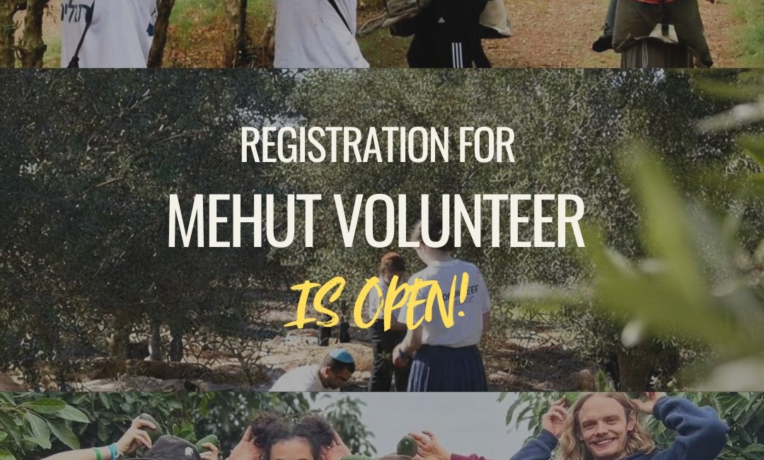 Volunteering in Israel with Mehut