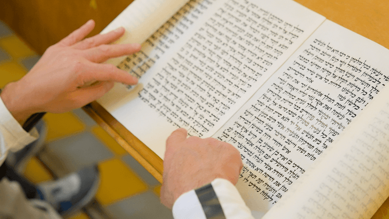 Morning Shacharit & Megillah Reading