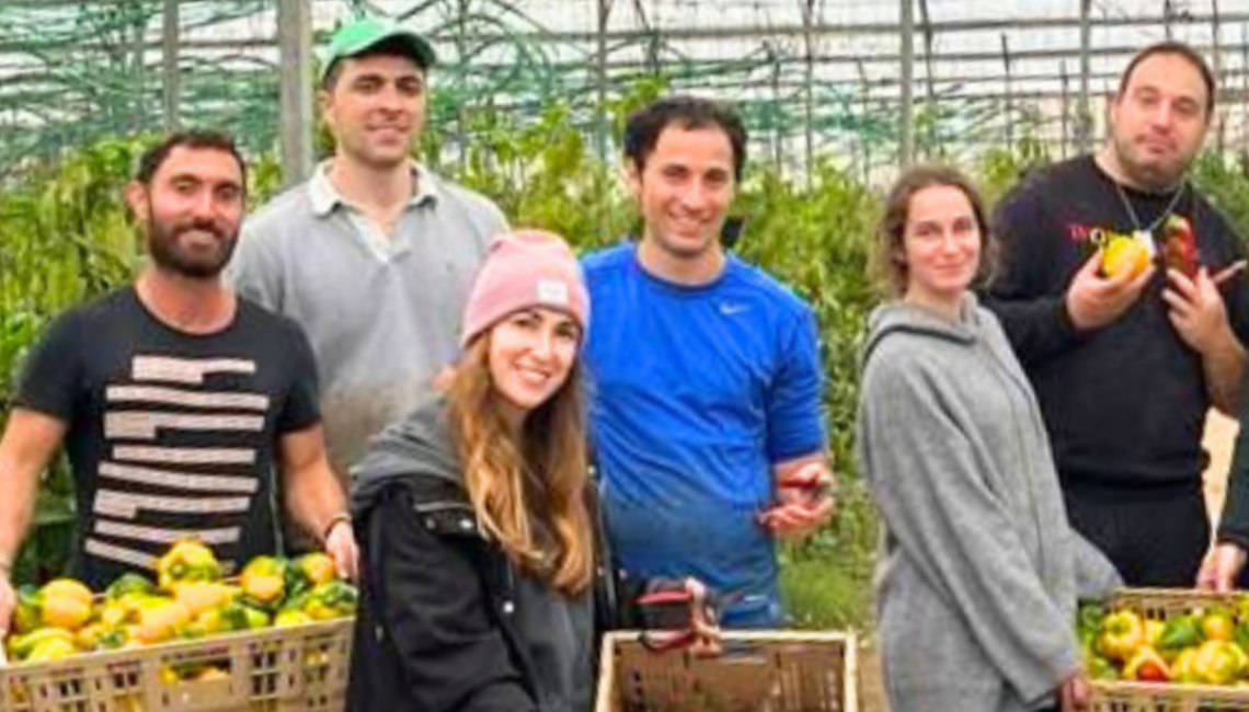 Friday Farm Day!