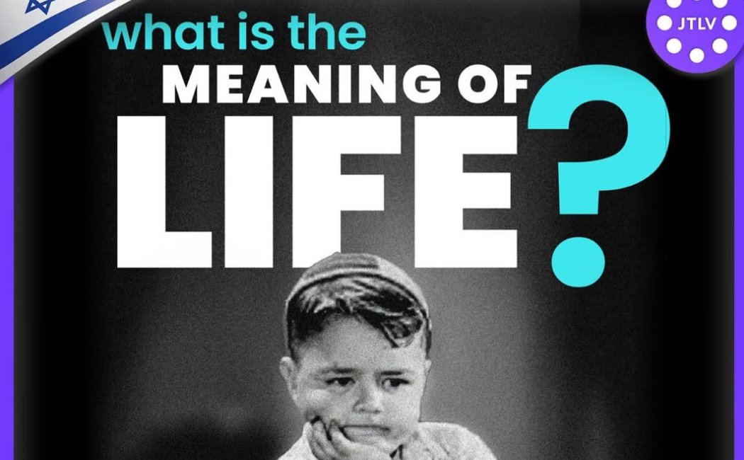 what is the meaning of life