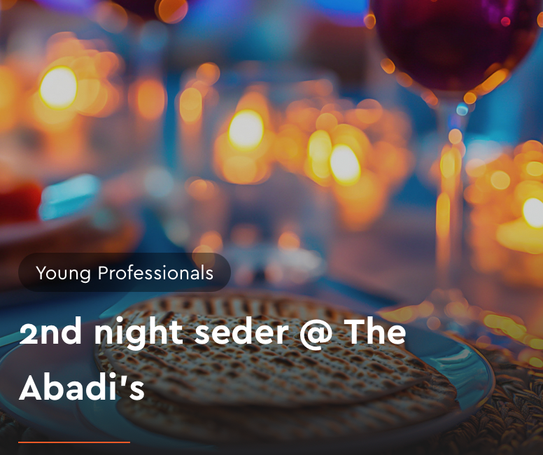 2nd night seder @ The Abadi's