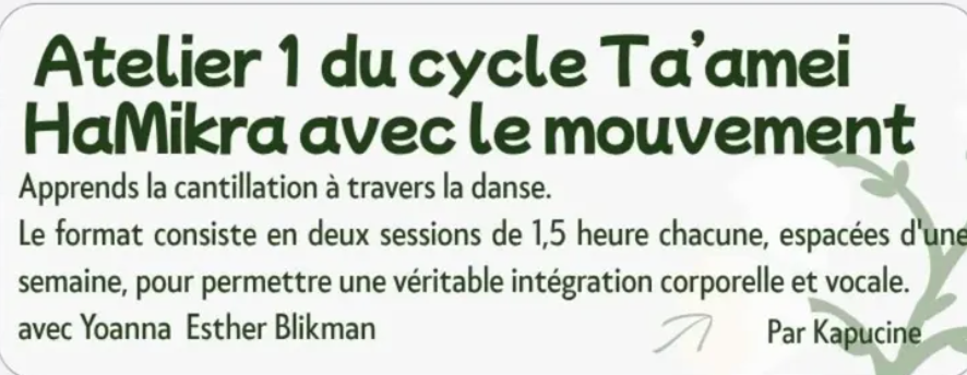 Apprendre Ta'amei HaMikra, la cantilation par le mouvement - Rencontre 2