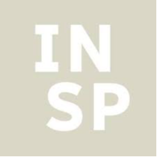 Insitut für Neue Soziale Plastik e.V.