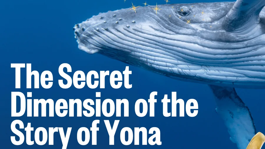 The Secret Dimension of the Story of Yona  📖