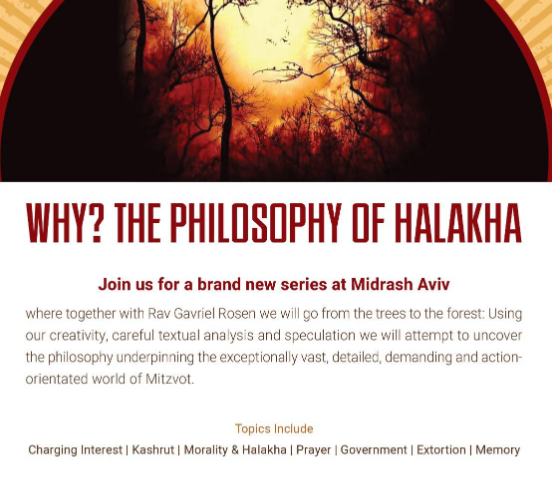 Why? The Philosophy of Halakha